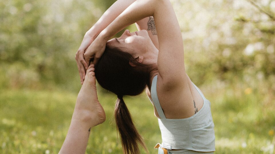 Yoga Schwan 2
