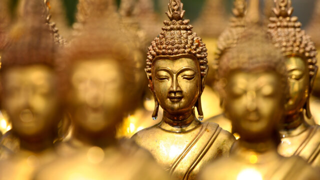 Mit Meditation in der Gegenwärtigkeit. Den Fokus halten.