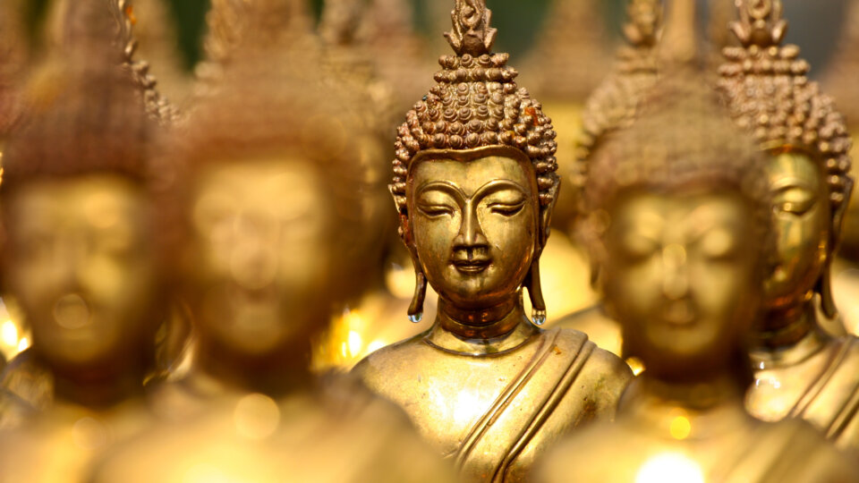 Mit Meditation in der Gegenwärtigkeit. Den Fokus halten.